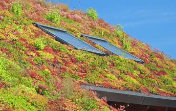 East Malling Heath living roof systems