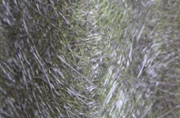 East Malling Heath fibreglass roof work